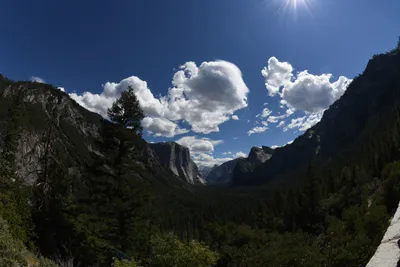 DSC_4310 (Large).JPG